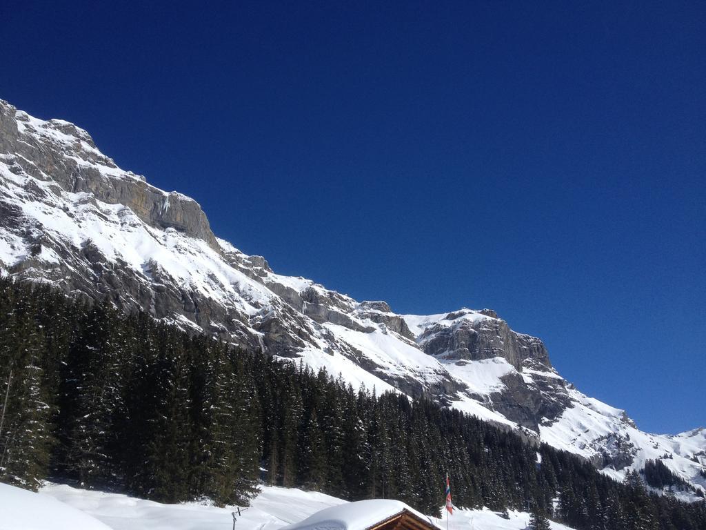 Appartment Chalet Sonnenheim Kandersteg Dış mekan fotoğraf