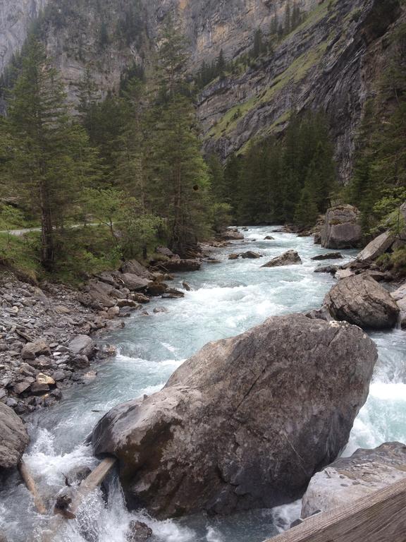 Appartment Chalet Sonnenheim Kandersteg Dış mekan fotoğraf